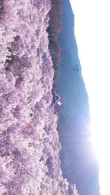 了解如果所有的日本动漫角色都在一个动漫里出现会变成怎么样?,解答您的疑问-如果所有的日本动漫角色都在一个动漫里出现会变成怎么样?有问必答平台